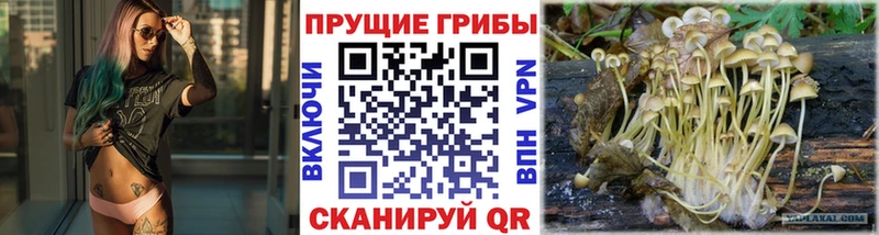 Псилоцибиновые грибы ЛСД  ссылка на мегу ссылки  Ульяновск 