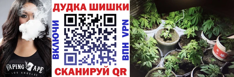 МАРИХУАНА SATIVA & INDICA  наркошоп  Ульяновск 